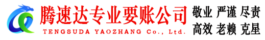 龙湖腾速达清债公司